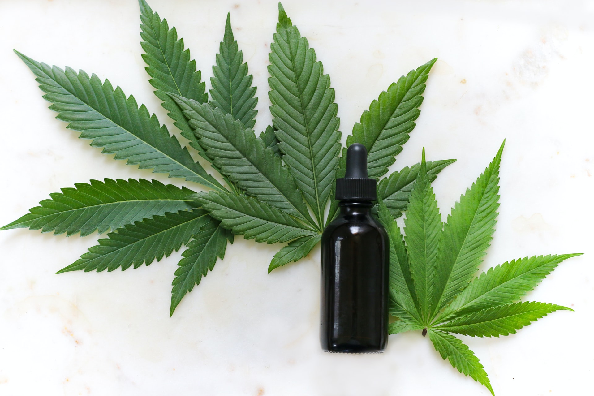 A Case for Legalizing Recreational Cannabis